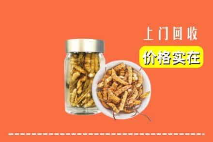 衡阳市耒阳回收散虫草