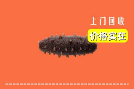 衡阳市耒阳回收海参