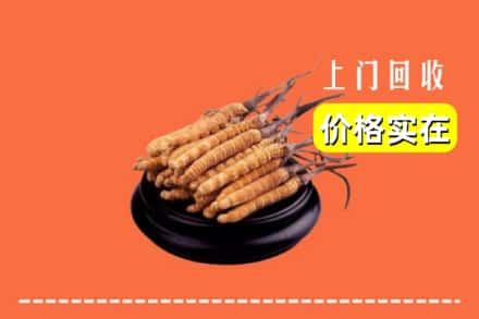 衡阳市耒阳回收冬虫夏草